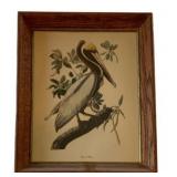 Framed Print 14"x11"