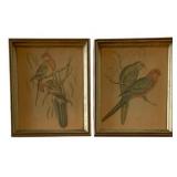 2 Framed Bird Prints 7.205"x5.25"