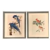 2 Framed Prints 15.25"x12.25"