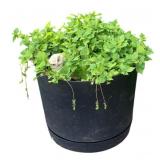 Plastic Planter 16"x16"