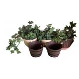 Assorted Planters