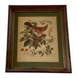 Framed Print 16"x13"