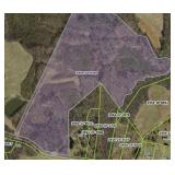 49+ Acres of 90% Wooded Land, Chatham, VA 24531