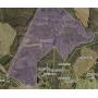 REAL ESTATE LIVE AUCTION 2 PARCELS - CHATHAM, VA 8/27 @ 11am