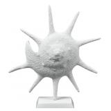 Elk Home Marco Shell, Composite 16x14x5