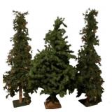 3 Faux Christmas Trees approximately 56" tall