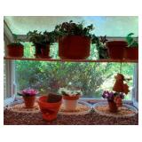 Assorted Planters w/ Plants
