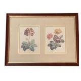 Framed Print - 15 x 11