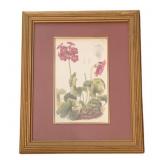 Framed Print - 11.5 x 9.5