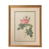 Framed Print - 17 x 13