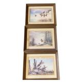 3 Framed Prints of Wildlife - 17 x 20.5