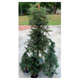 Assorted Sized Artificial Christmas Trees