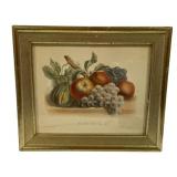 Framed Fruit Still Life by Borghese Print, 13 x 15