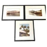3 Bamboo Style Framed Prints - 9.5 x 11.5