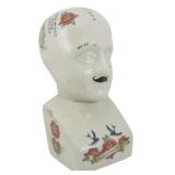 Ceramic Phrenology Head Figure 9.5"