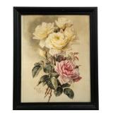Framed Print 23"x19"