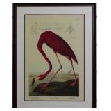 FLAMINGO BY JOHN J AUDUBON