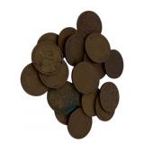 20 Wheat Pennies