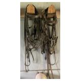 Horse Bridals
