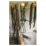 Horse Bridals