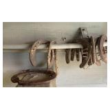 Horseshoes