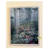 Spruce Knob Top West Virginia frame picture