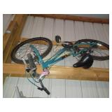 Schwin Girls Mountain bike