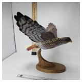 FLYING RED TAILED HAWK