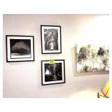 WALL COLLAGE NATURE PRINTS