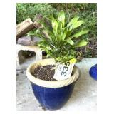 SM BLUE POTTERY PLANTER