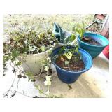 PLASTIC PLANTERS