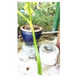 MED BLUE POTTERY PLANTER W 2 POTTERY STANDS