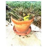 TERRA COTTA PLANTER ON ROLLER