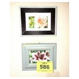 2 FLOWER PICTURES