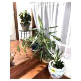 3 PLANTERS W FLOWERS