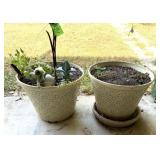 PLASTIC PLANTERS