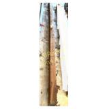 LARGE CEDAR BEAM