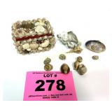 SMALL SHELL BOX AND SEA SHELLS