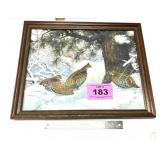 QUAIL PICTURE