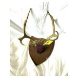 ANTLERS