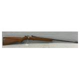 Winchester .22 S, L, LR Rifle