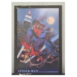 Spiderman Poster Board