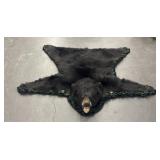 Beautiful Alaskan Black Bear Hide
