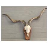 African Kudu Mount