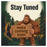 MORE ITEMS COMING....