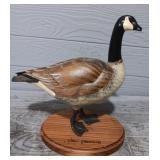 Carved Canadian Goose