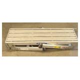 Werner Ladder Scaffold