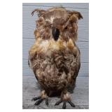 Faux Owl Figure