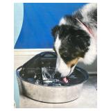 PetSafe Drinkwell Zen stainless steel pet fountain