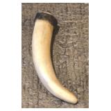 Silver Tip Bear Claw Pendant